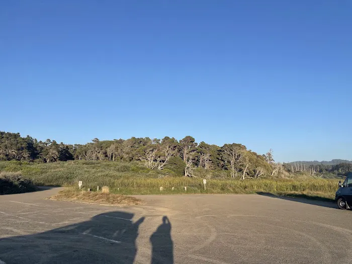 Pinewood Campground | MacKerricher State Park Picture 6