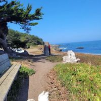 Pinewood Campground | MacKerricher State Park ico