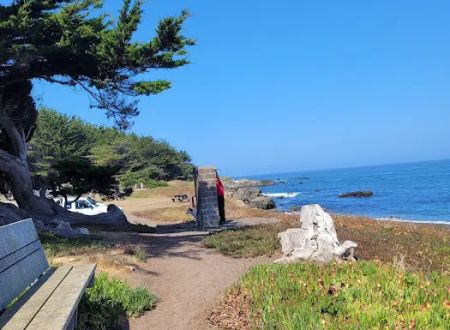 Pinewood Campground | MacKerricher State Park