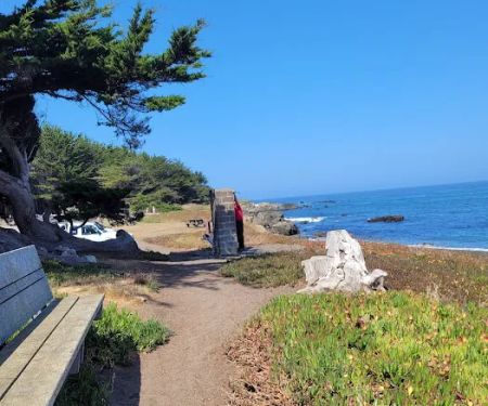Pinewood Campground | MacKerricher State Park