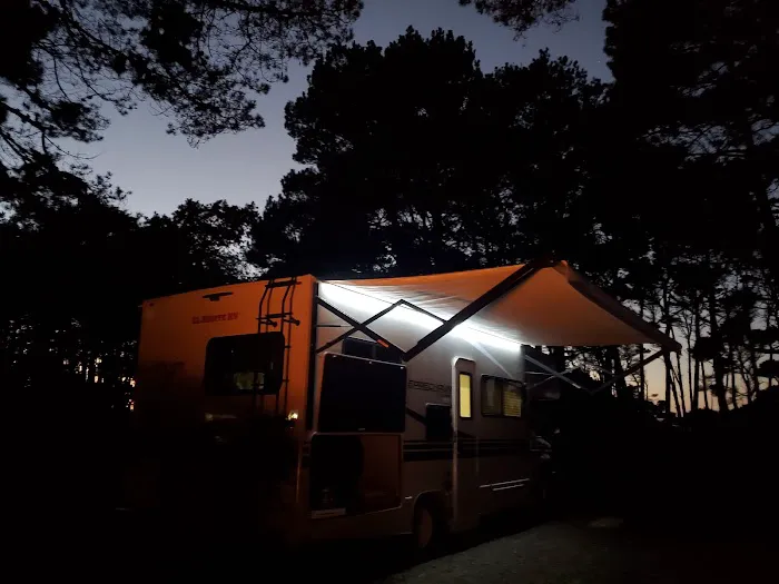 Pinewood Campground | MacKerricher State Park Picture 2