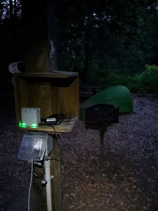 Hickey Campground Picture 1