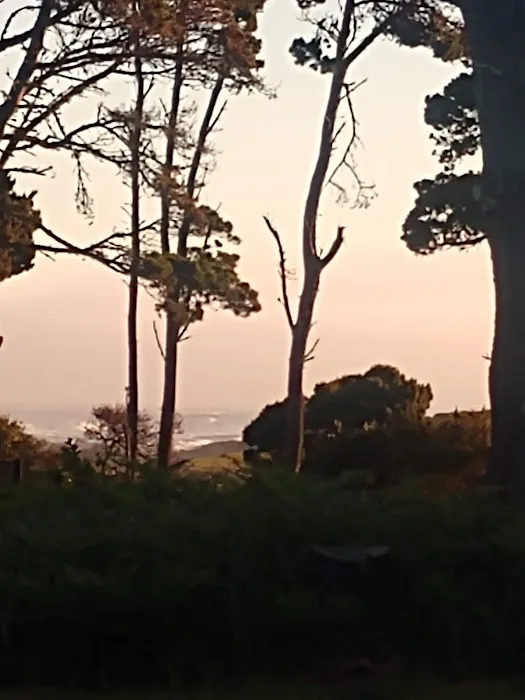 Surfwood Campground | MacKerricher Picture 2