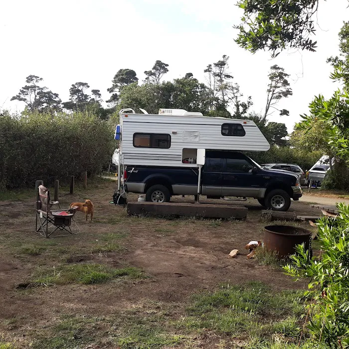 Surfwood Campground | MacKerricher Picture 6