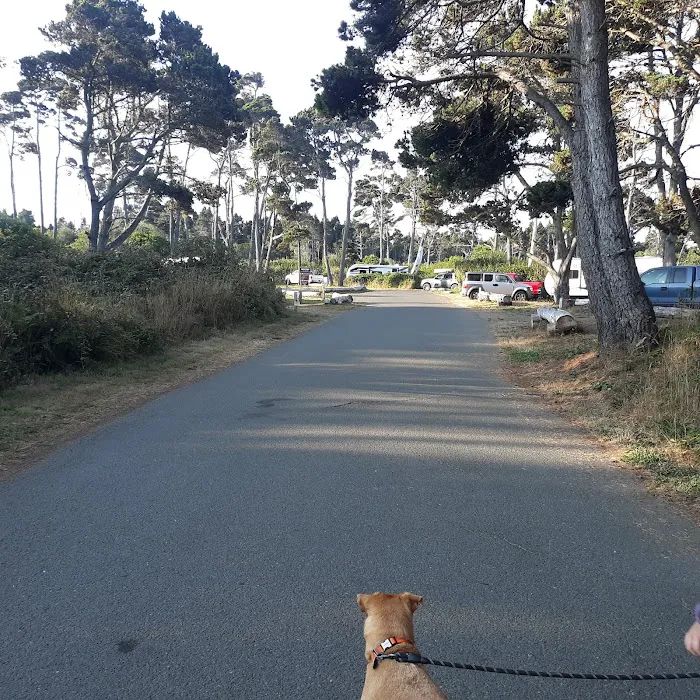 Surfwood Campground | MacKerricher Picture 9