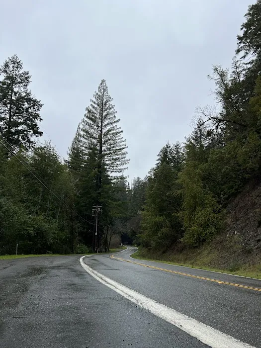 Madrone Campground Picture 3
