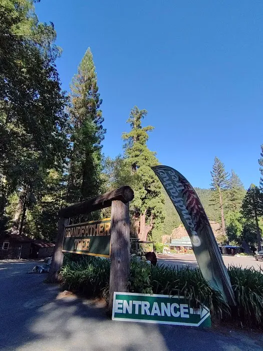 Madrone Campground Picture 2