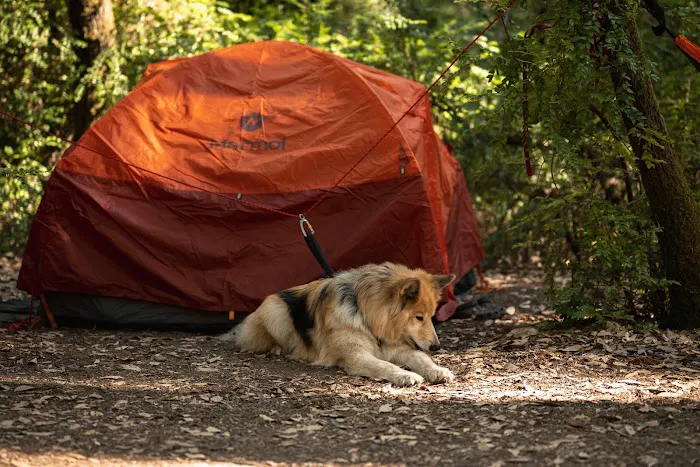 Huckleberry Campground Picture 9