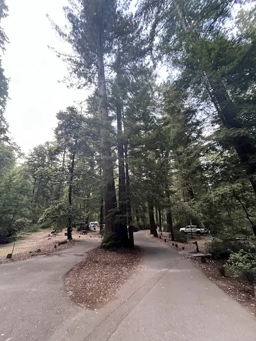 Huckleberry Campground Picture 8