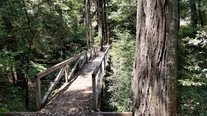 Huckleberry Campground Picture 7