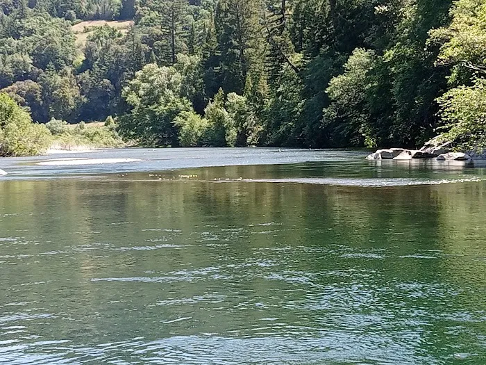 Benbow SRA Campground Picture 4