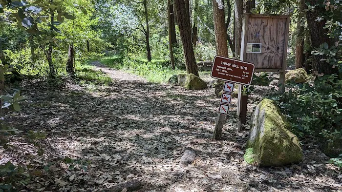 Benbow SRA Campground Picture 6