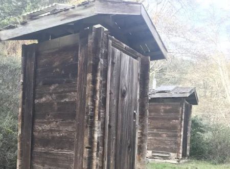 Orchard Camp
