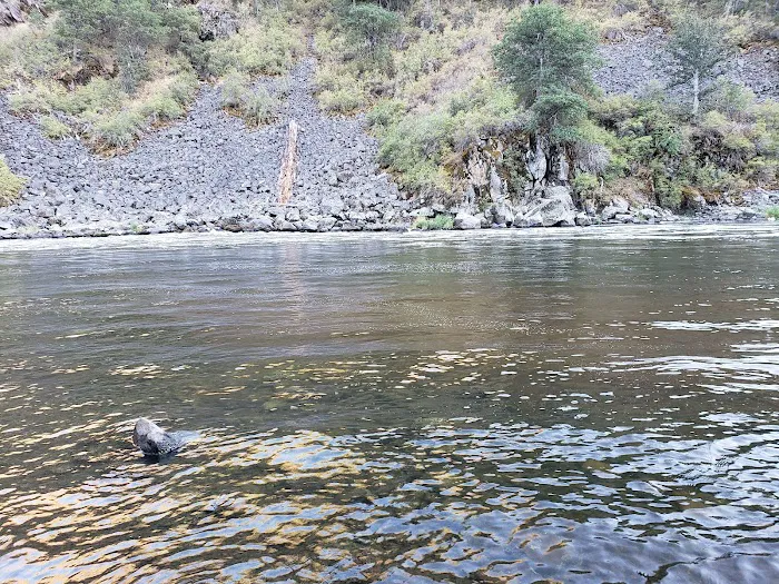 Upper Klamath Wild and Scenic River Picture 1