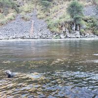 Upper Klamath Wild and Scenic River ico
