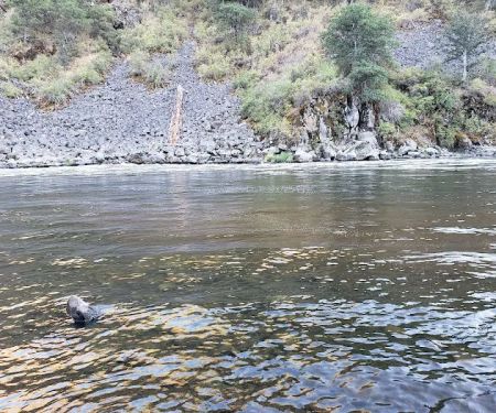 Upper Klamath Wild and Scenic River