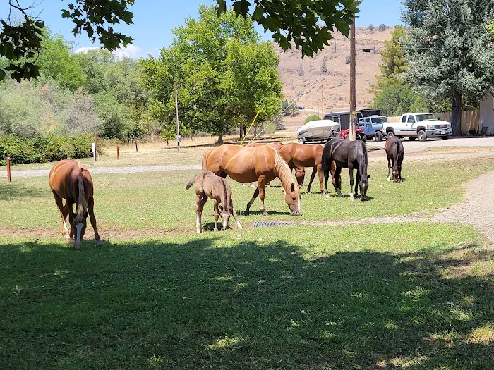 KRCE campground - members only Picture 7