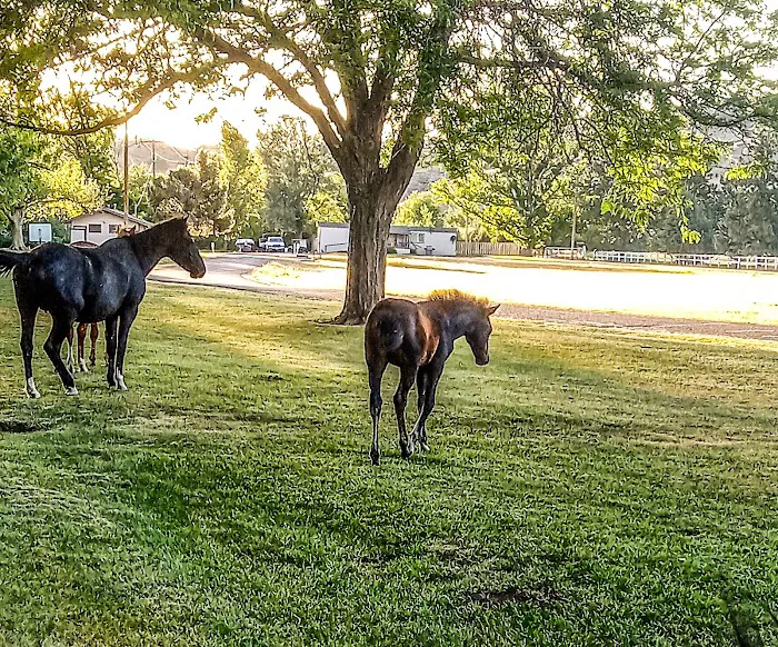 KRCE campground - members only Picture 10