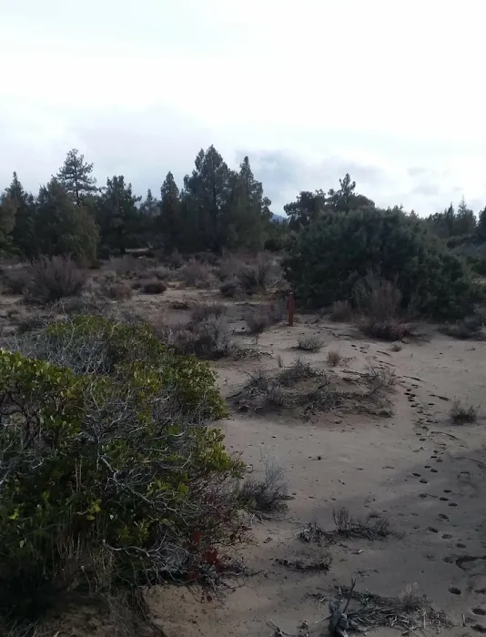 Blue Juniper Camping Grounds Picture 6