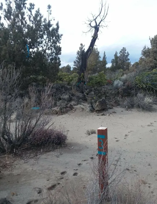 Blue Juniper Camping Grounds Picture 7