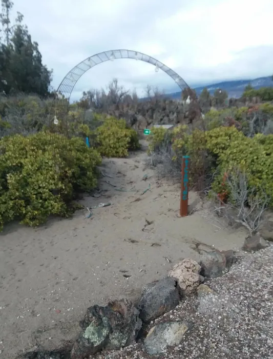 Blue Juniper Camping Grounds Picture 4