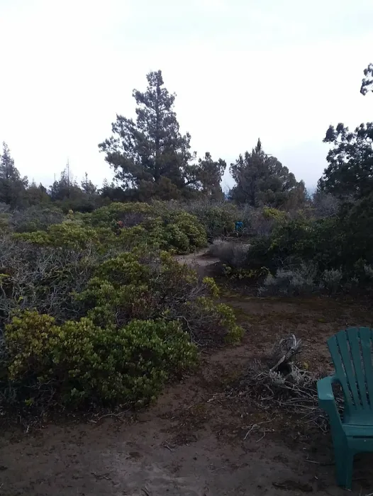 Blue Juniper Camping Grounds Picture 2