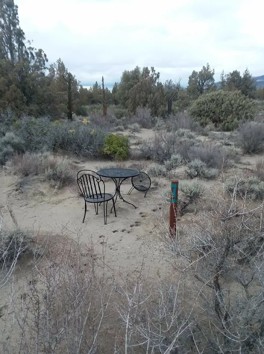Blue Juniper Camping Grounds Picture 5