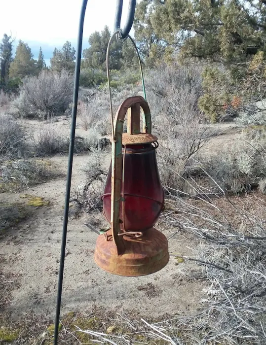 Blue Juniper Camping Grounds Picture 3