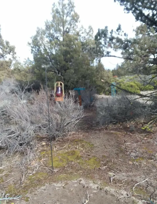 Blue Juniper Camping Grounds Picture 8