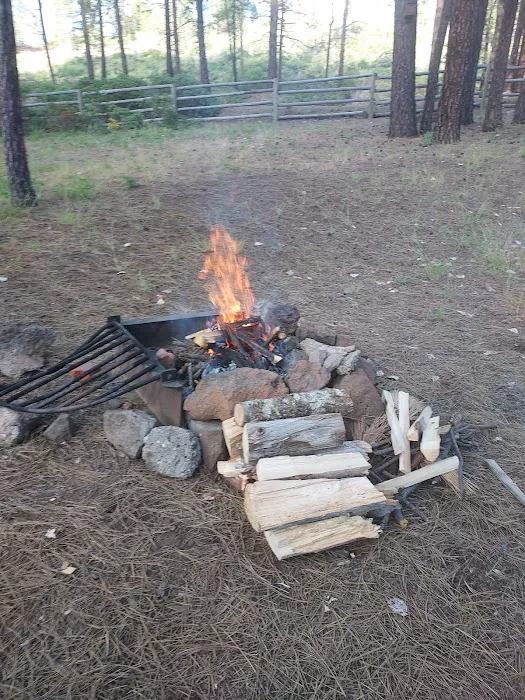 Topsy Campground Picture 6