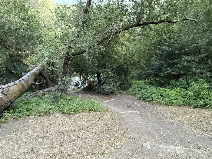 Cerro Alto Campground Picture 8