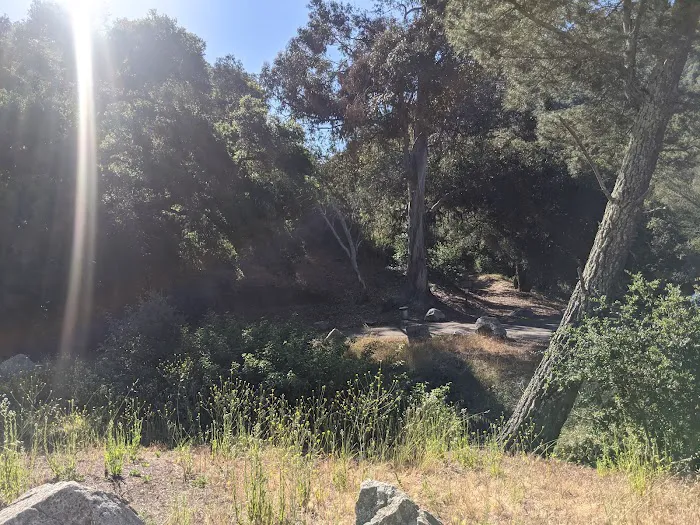 Cerro Alto Campground Picture 2