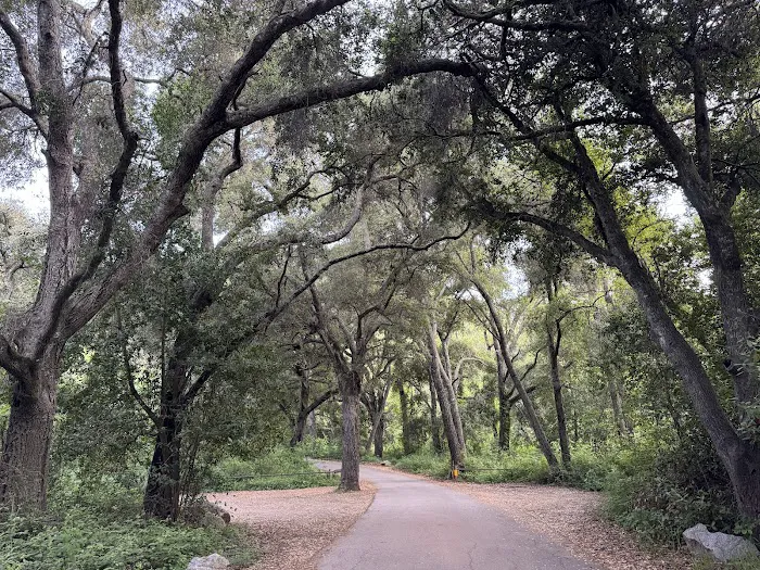Cerro Alto Campground Picture 5