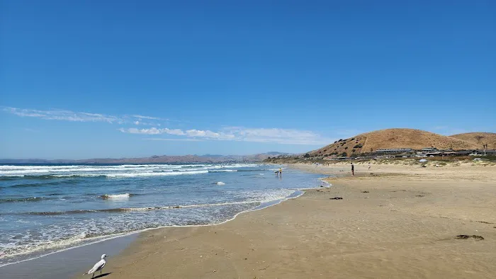 Morro Strand State Beach Campground Picture 2