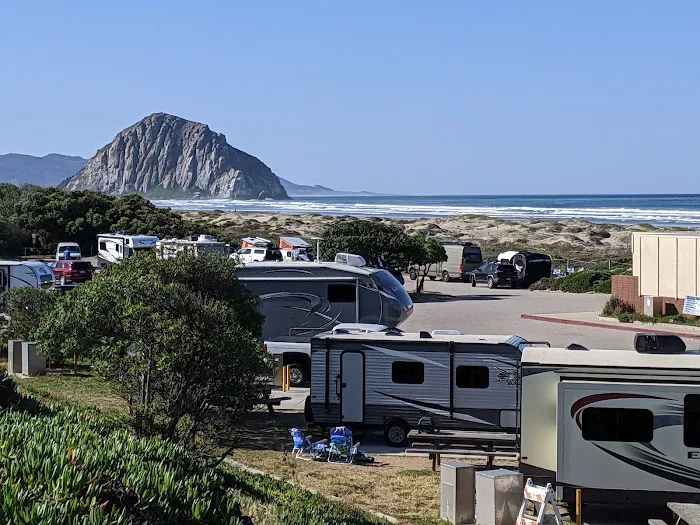 Morro Strand State Beach Campground Picture 6