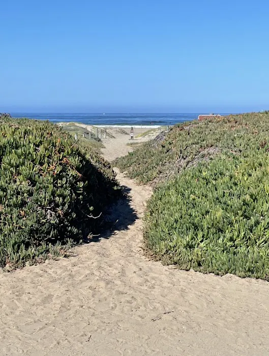 Morro Strand State Beach Campground Picture 3