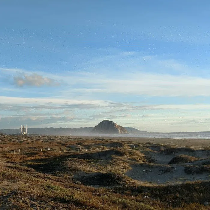 Morro Strand State Beach Campground Picture 9