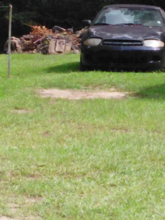Forestry Department Picture 5
