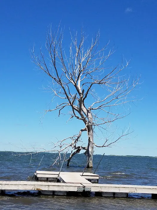 Tolna Bay Campground Picture 7