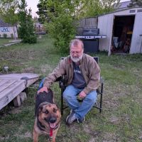 Tolna Bay Campground ico