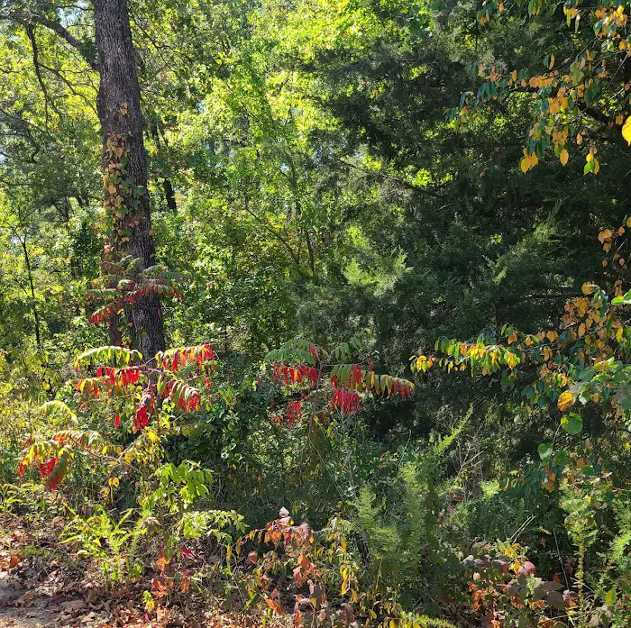 West Lake Davy Crockett Campground Picture 3
