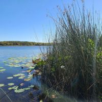 West Lake Davy Crockett Campground ico