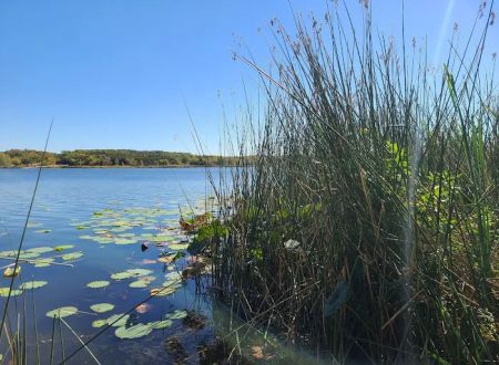 West Lake Davy Crockett Campground
