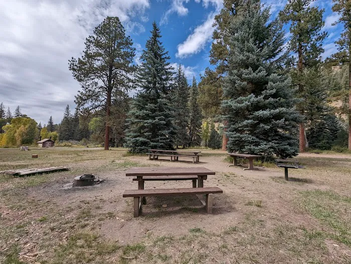 Blanco River Group Campground Picture 9