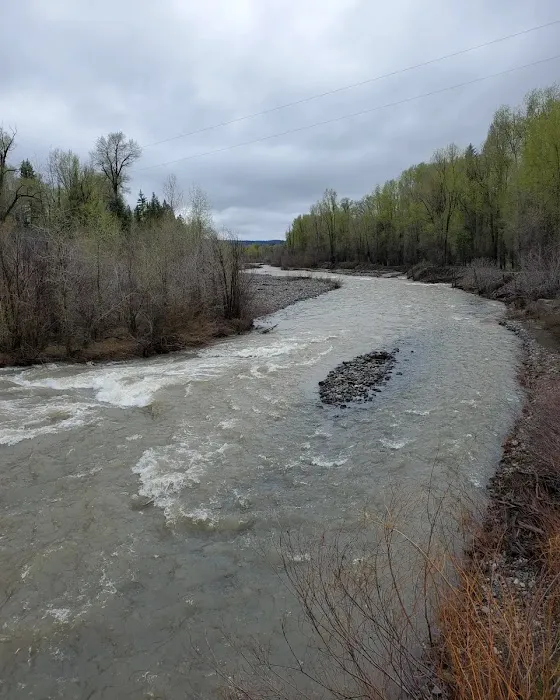 Blanco River Group Campground Picture 7