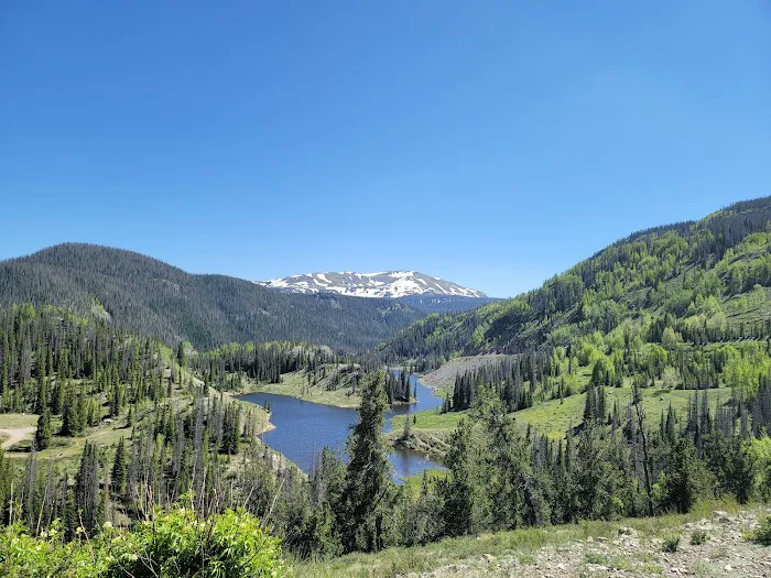 Gold Pan RV Park & General Store Picture 8