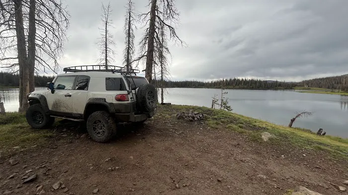 Kerr Lake Fishing Site - Rio Grande National Forest Picture 1