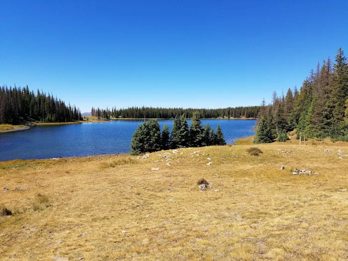 Kerr Lake Fishing Site - Rio Grande National Forest Picture 5