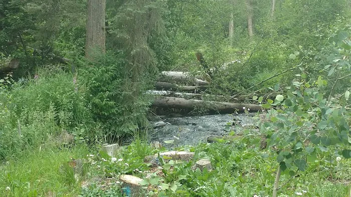 Comstock Campground Picture 6