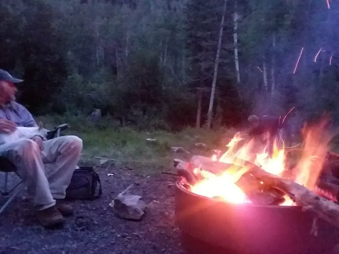 Comstock Campground Picture 8